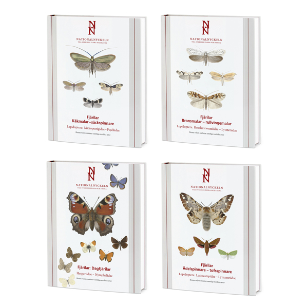 Bild på Gruppen fjärilar – 4 volymer